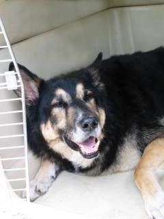 Kicking Back in the Crate