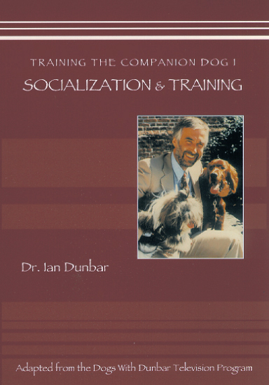 Training The Companion Dog 1 Socialization &amp; Training (VIDEO)