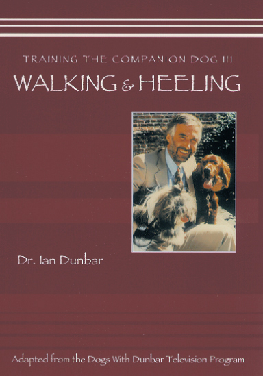 Training The Companion Dog 3 Walking & Heeling (VIDEO)