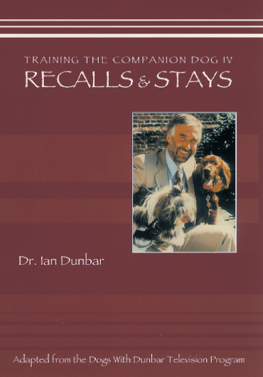 Training The Companion Dog 4: Recalls &amp; Stays (VIDEO)