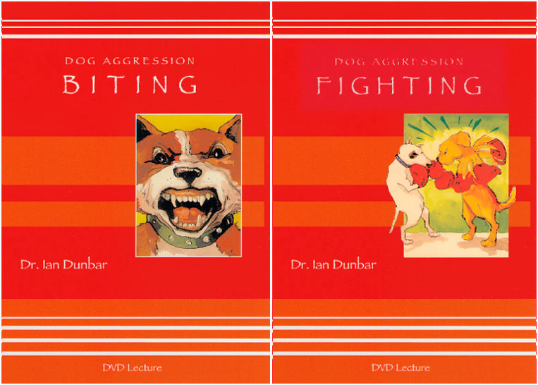 Canine Aggression: Biting &amp; Fighting