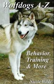 Wolfdogs A-Z: Behavior, Training & More (Wolf Hybrids)