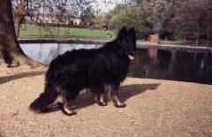 Max