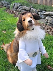 Jabba the hotsell hutt dog costume