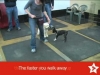 Embedded thumbnail for Week 6 Part 2 (SIRIUS SF Puppy 2)